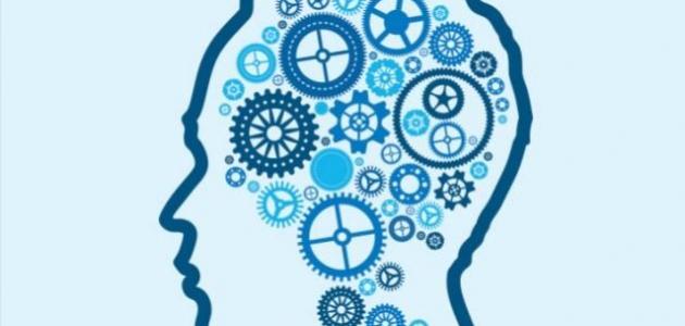 فوائد القراءة للعقل فوائد القراءة للعقل