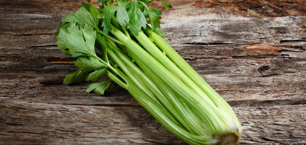 فوائد الكرفس للرجيم فوائد الكرفس للرجيم