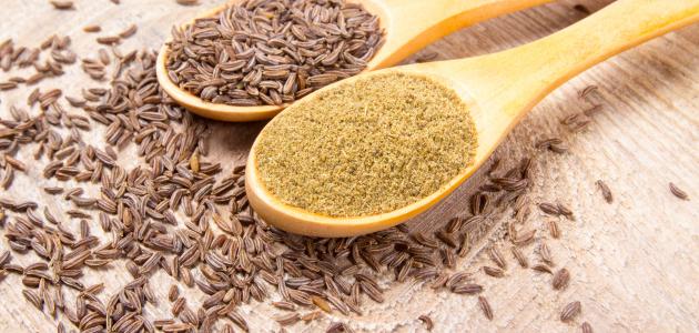 فوائد الكمون للتخلص من الكرش