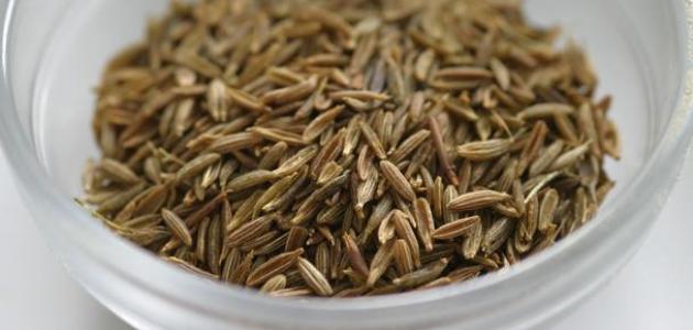 فوائد الكمون للقولون فوائد الكمون للقولون