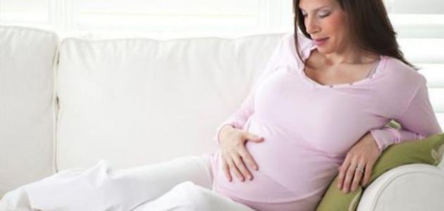 فوائد اللحم للحامل