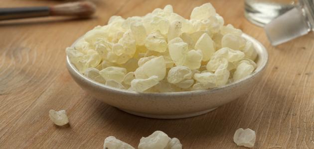 فوائد المستكة فوائد المستكة