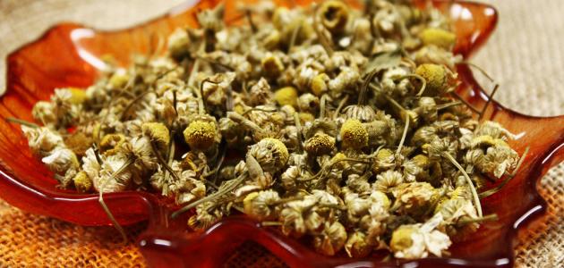 فوائد النباتات الطبية