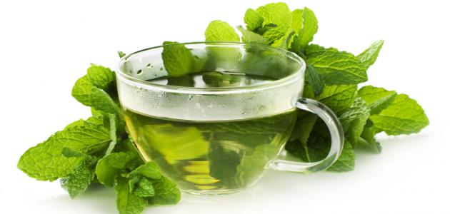 فوائد النعناع المغلي فوائد النعناع المغلي