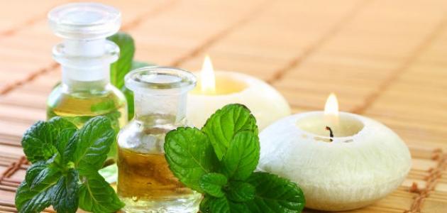 فوائد النعناع للشعر فوائد النعناع للشعر