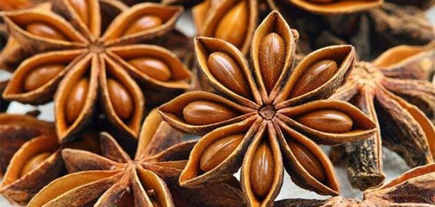 فوائد اليانسون للشعر فوائد اليانسون للشعر