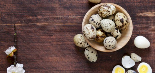 فوائد بيض السمان للأطفال فوائد بيض السمان للأطفال
