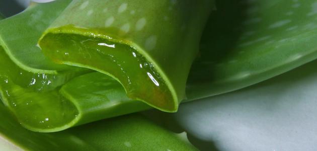 فوائد جل الصبار للوجه فوائد جل الصبار للوجه