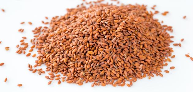 فوائد حب الرشاد فوائد حب الرشاد