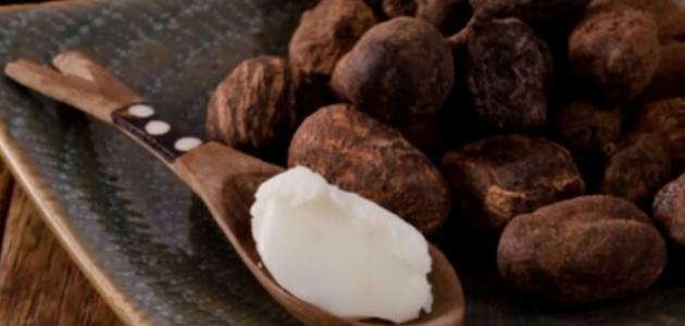 فوائد زبدة الشيا للبشرة والجسم فوائد زبدة الشيا للبشرة والجسم