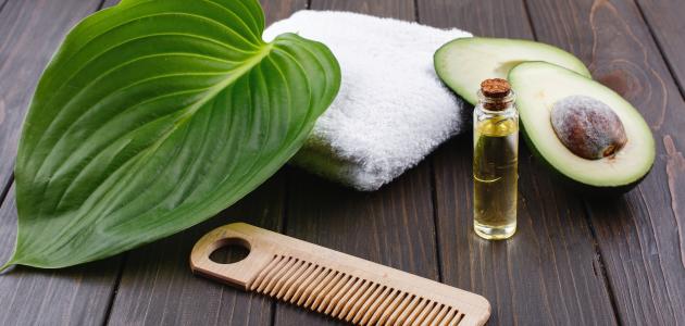 فوائد زيت الأفوكادو للبشرة فوائد زيت الأفوكادو للبشرة