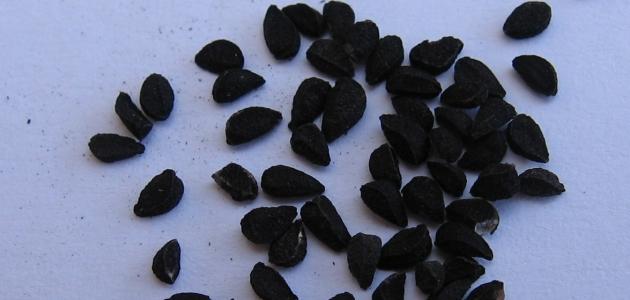 فوائد زيت الزيتون وحبة البركة