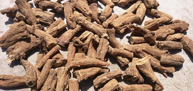 فوائد زيت القسط الهندي فوائد زيت القسط الهندي