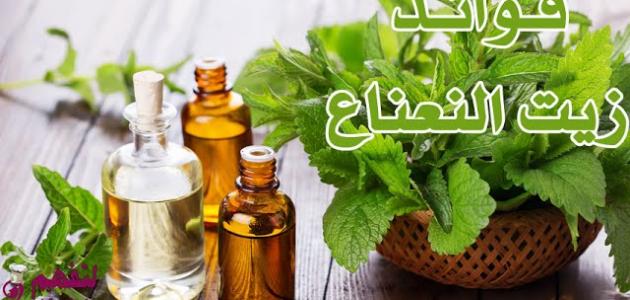 فوائد زيت النعناع للشعر فوائد زيت النعناع للشعر