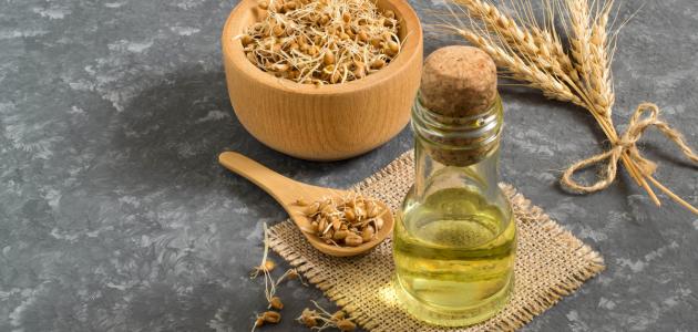 فوائد زيت جنين القمح فوائد زيت جنين القمح