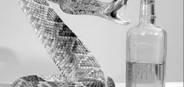 فوائد زيت دهن الثعبان فوائد زيت دهن الثعبان