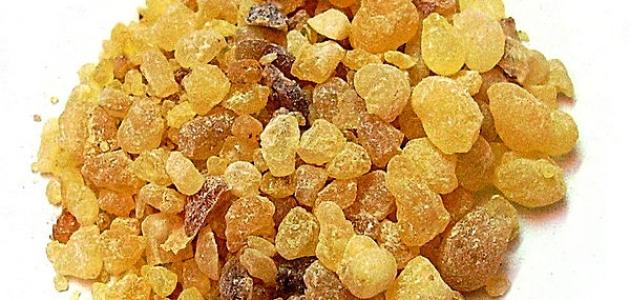 فوائد زيت لبان الذكر للشعر فوائد زيت لبان الذكر للشعر