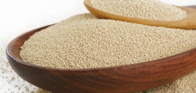 فوائد شرب الخميرة الفورية على الريق فوائد شرب الخميرة الفورية على الريق