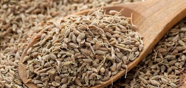 فوائد شرب اليانسون فوائد شرب اليانسون