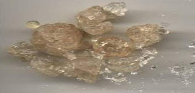 فوائد عشبة الكثيرا فوائد عشبة الكثيرا