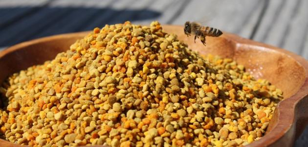 فوائد غبار الطلع للبشرة فوائد غبار الطلع للبشرة