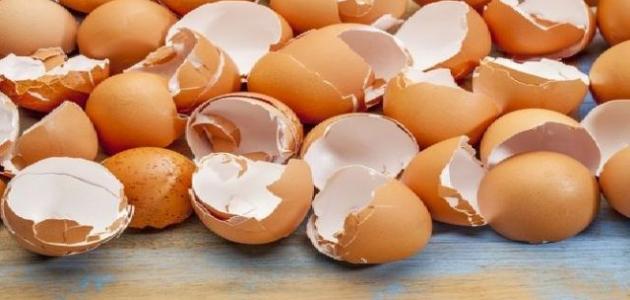 فوائد قشر البيض للشعر فوائد قشر البيض للشعر