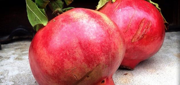 فوائد قشر الرمان للشعر فوائد قشر الرمان للشعر