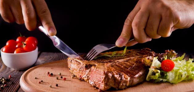 فوائد لحم الجمل فوائد لحم الجمل