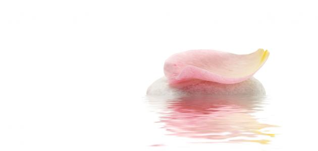 فوائد ماء الورد