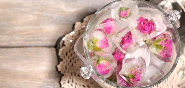 فوائد مكعبات ماء الورد للوجه فوائد مكعبات ماء الورد للوجه