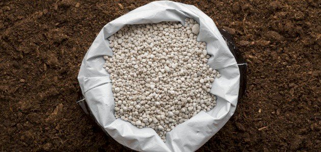 فوائد نترات الكالسيوم للنبات فوائد نترات الكالسيوم للنبات