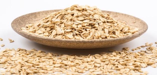 فوائد وأضرار الشوفان
