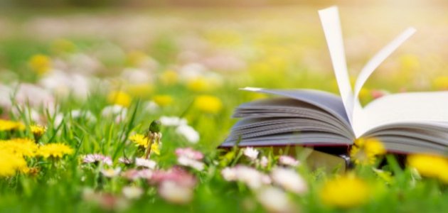 قراءة في رواية ألف شمس ساطعة قراءة في رواية ألف شمس ساطعة