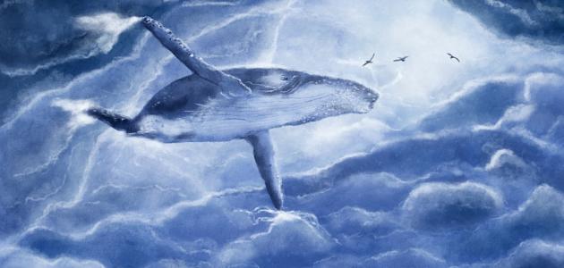 قصة يونس والحوت قصة يونس والحوت