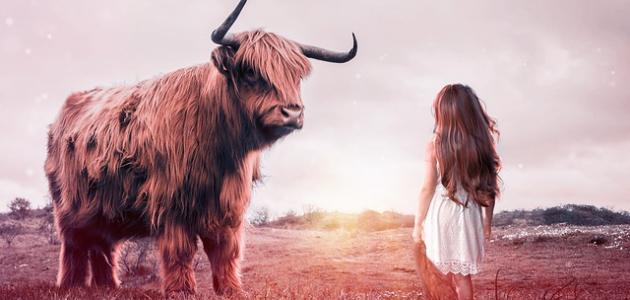 قصيدة عن المرأة القوية قصيدة عن المرأة القوية