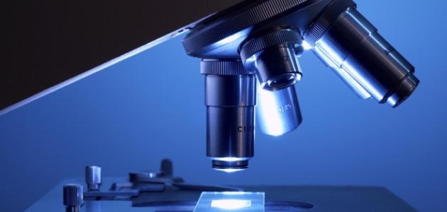 قوة تكبير المجهر المركب قوة تكبير المجهر المركب