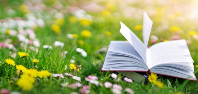 كلام جميل كلام جميل