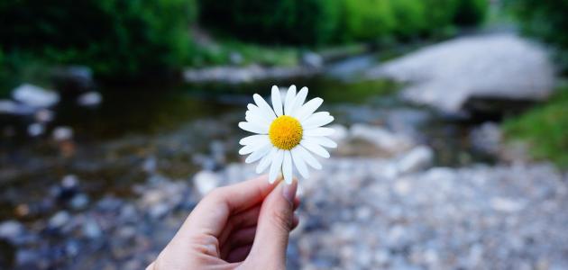 كلام جميل عن الأخلاق كلام جميل عن الأخلاق