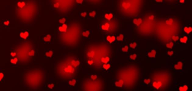 كلام حب كلام حب