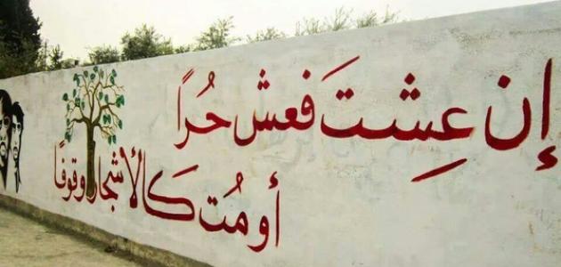 كلام عن الحرية كلام عن الحرية