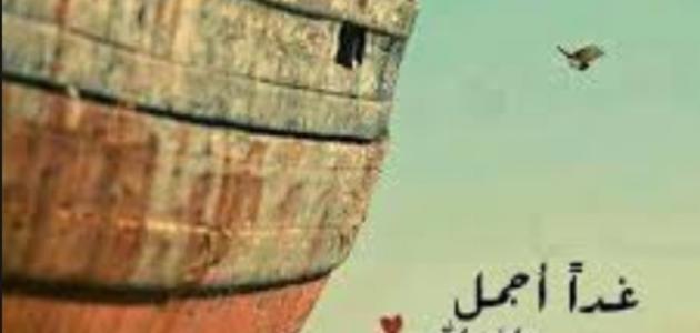 كلام عن السعادة والأمل كلام عن السعادة والأمل