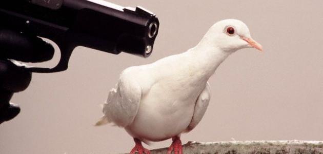 كلام عن الظلام كلام عن الظلام