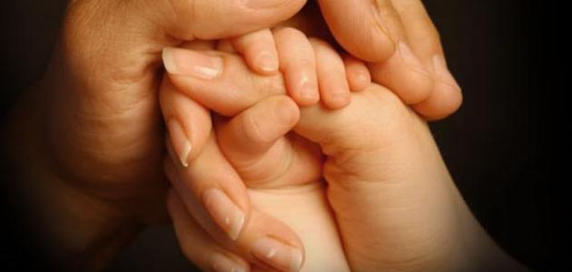 كلام في الوفاء والأخلاص كلام في الوفاء والأخلاص