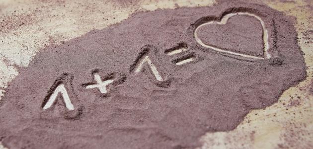 كلام في لقاء الحبيب كلام في لقاء الحبيب