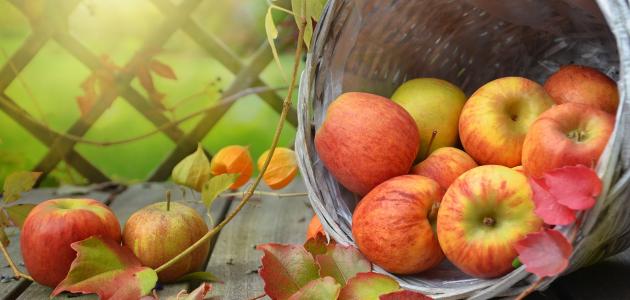 كلام قصير عن الحياة كلام قصير عن الحياة