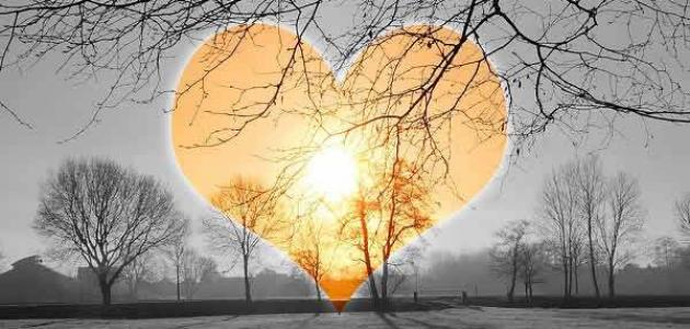 كلام مريح للقلب كلام مريح للقلب