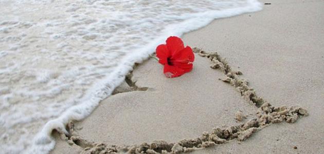 كلمات عن البحر والحب كلمات عن البحر والحب