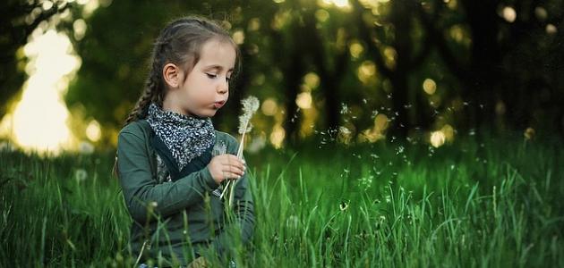 كلمات عن الحياة والأمل