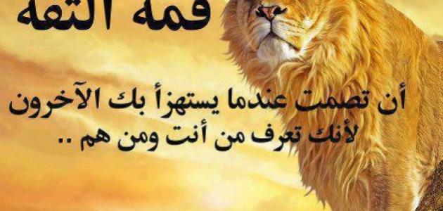 كلمات عن عدم الثقة كلمات عن عدم الثقة