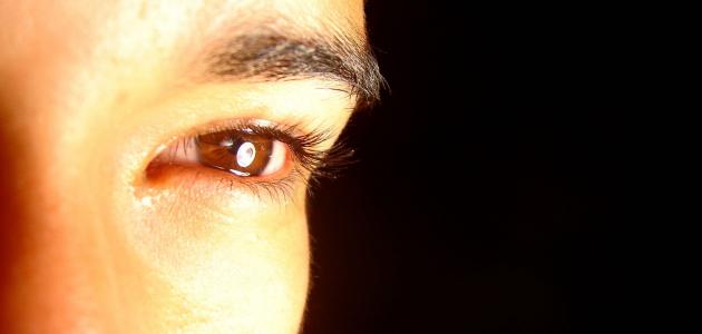 كلمات عن موت الأم